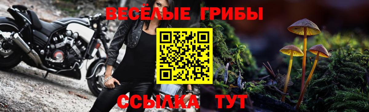 Псилоцибиновые грибы ЛСД Артёмовский
